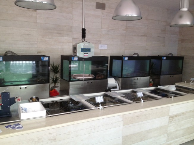 Acquariologia professionale